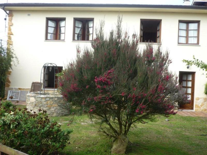 Apartamentos Rurales La Caramba Lamuno Eksteriør billede